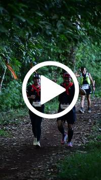 BIB:  <button type="button" onclick="openModal(27537673)" class="btn btn-primary btn-sm float-right" data-toggle="modal" data-target=".modal-high-quality">
                <i class="fa fa-download"></i> Download
                </button>